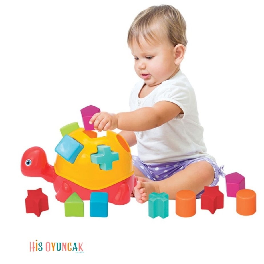 Dede Kamplumbağa Bultak 14 Parça - Görsel 4