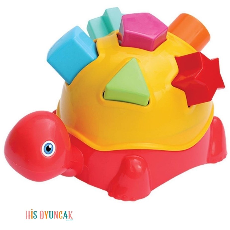 Dede Kamplumbağa Bultak 14 Parça - Görsel 5